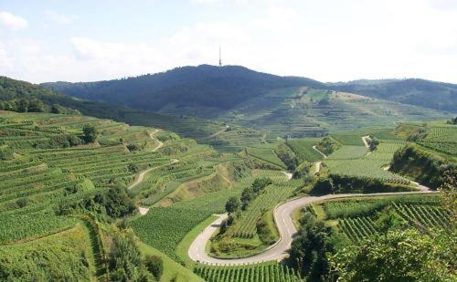 Landgasthof Zum Lamm Bahlingen  Zewnętrze zdjęcie